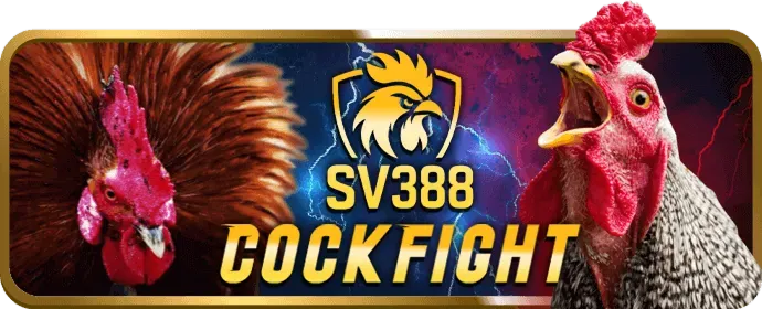 Người chơi ăn mừng chiến thắng Jackpot tại vin77 chính thức
